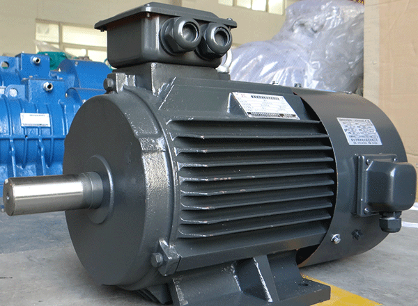 西安西瑪感應(yīng)式電機(jī)逆時(shí)針輸入工作負(fù)荷采集。